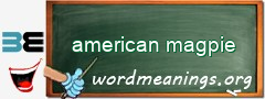 WordMeaning blackboard for american magpie